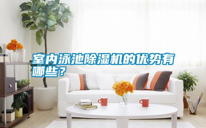 室內(nèi)泳池除濕機(jī)的優(yōu)勢(shì)有哪些？