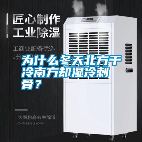 為什么冬天北方干冷南方卻濕冷刺骨？