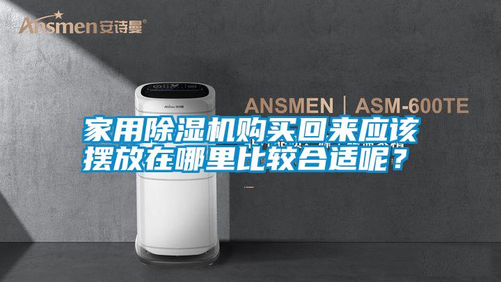 家用除濕機購買回來應(yīng)該擺放在哪里比較合適呢？