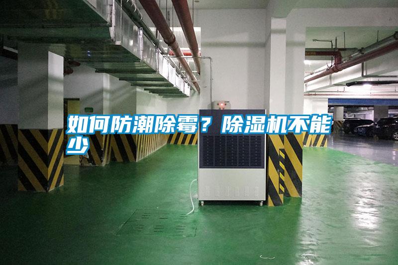 如何防潮除霉？除濕機不能少