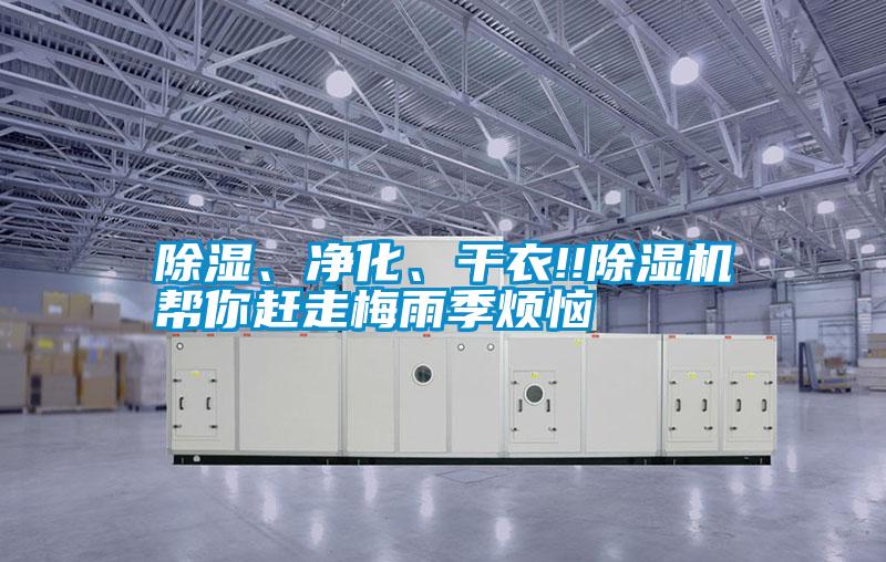 除濕、凈化、干衣!!除濕機幫你趕走梅雨季煩惱