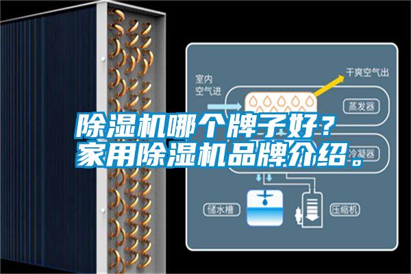 除濕機(jī)哪個(gè)牌子好？家用除濕機(jī)品牌介紹。