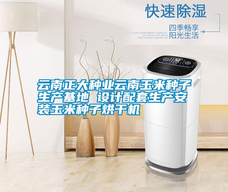 云南正大種業(yè)云南玉米種子生產(chǎn)基地 設(shè)計配套生產(chǎn)安裝玉米種子烘干機(jī)