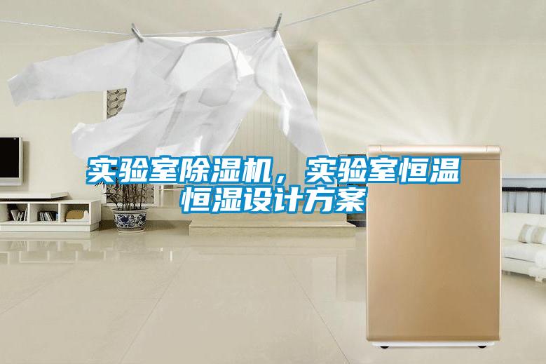 實(shí)驗(yàn)室除濕機(jī)，實(shí)驗(yàn)室恒溫恒濕設(shè)計(jì)方案