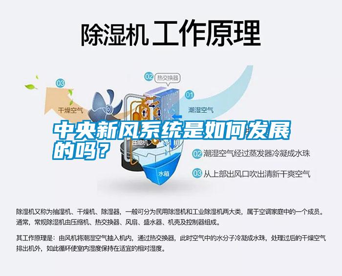 中央新風系統(tǒng)是如何發(fā)展的嗎？