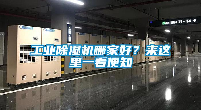 工業(yè)除濕機哪家好？來這里一看便知