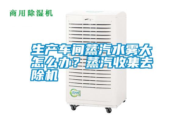 生產(chǎn)車間蒸汽水霧大怎么辦？蒸汽收集去除機(jī)