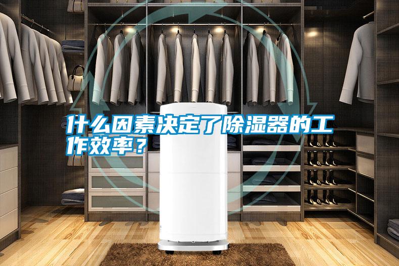 什么因素決定了除濕器的工作效率？