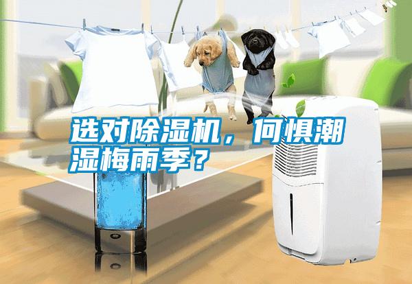 選對(duì)除濕機(jī)，何懼潮濕梅雨季？