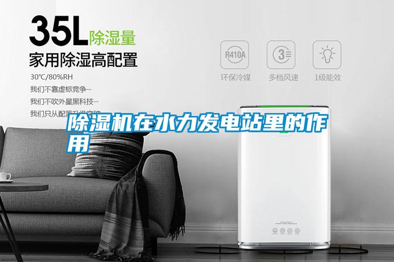 除濕機在水力發(fā)電站里的作用