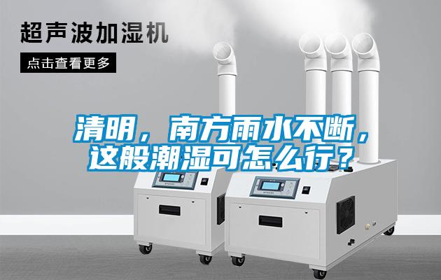 清明，南方雨水不斷，這般潮濕可怎么行？