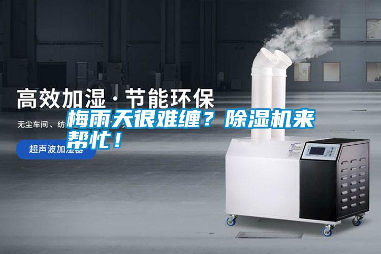 梅雨天很難纏？除濕機(jī)來(lái)幫忙！