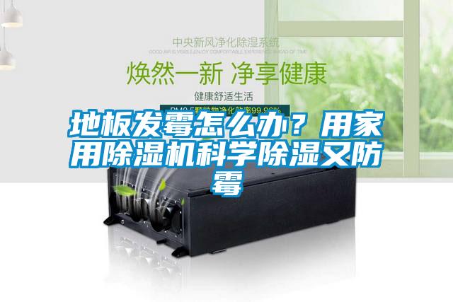 地板發(fā)霉怎么辦？用家用除濕機(jī)科學(xué)除濕又防霉