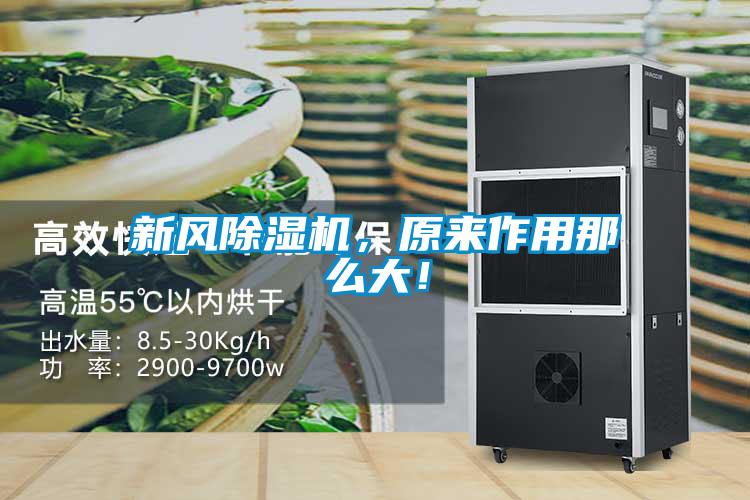 新風(fēng)除濕機(jī)，原來(lái)作用那么大！