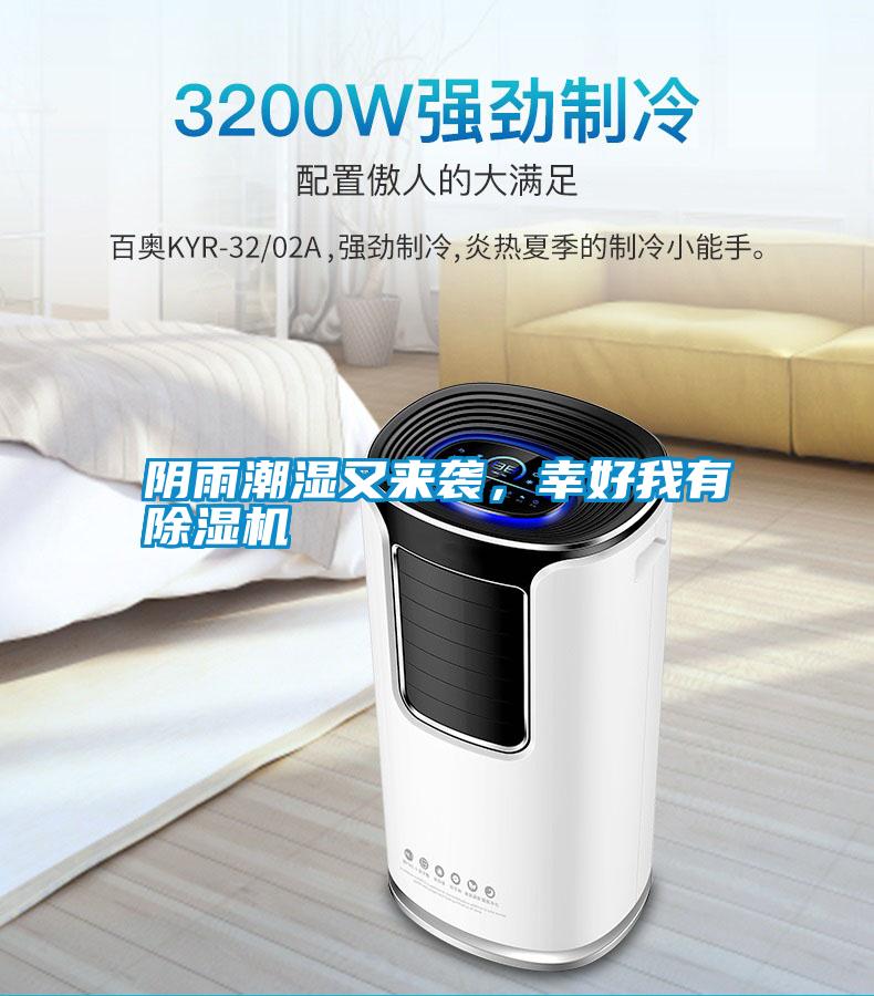 陰雨潮濕又來襲，幸好我有除濕機