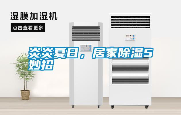 炎炎夏日，居家除濕5妙招