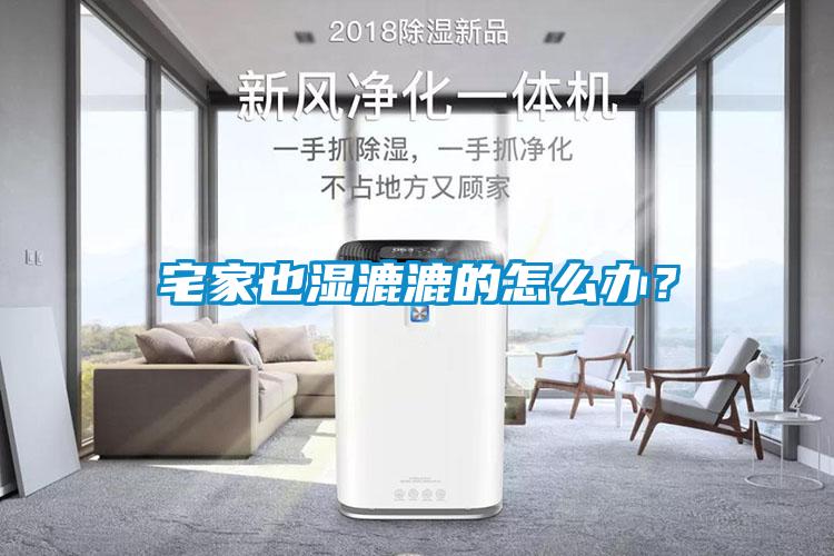 宅家也濕漉漉的怎么辦？