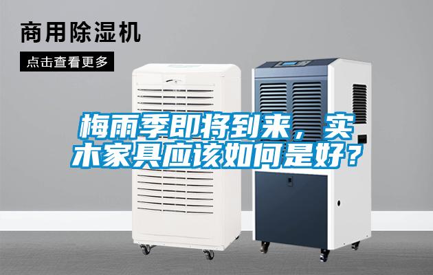 梅雨季即將到來，實木家具應該如何是好？