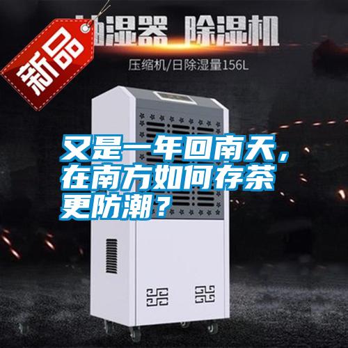 又是一年回南天，在南方如何存茶更防潮？