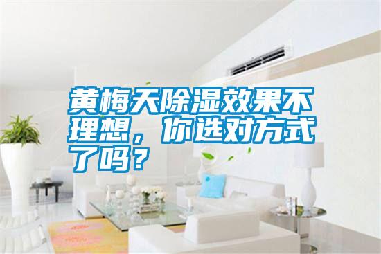 黃梅天除濕效果不理想，你選對方式了嗎？