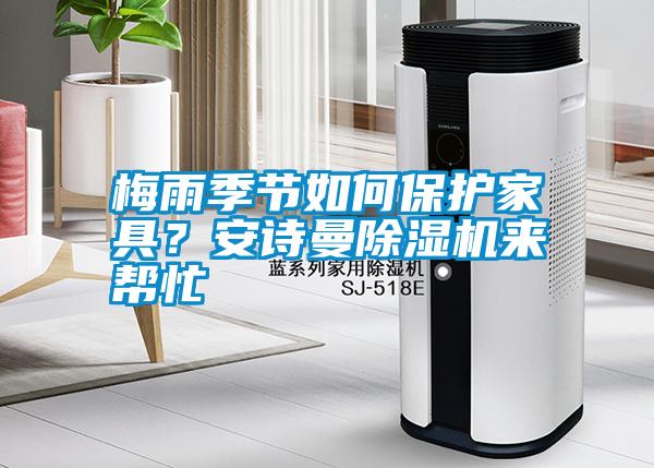 梅雨季節(jié)如何保護(hù)家具？安詩曼除濕機(jī)來幫忙
