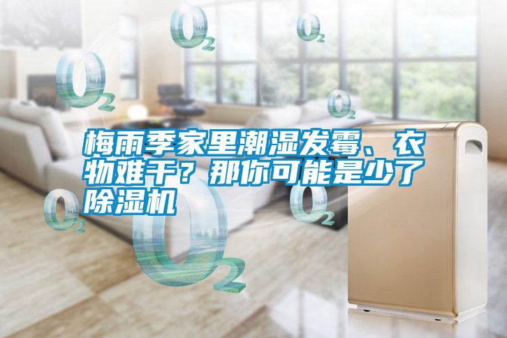 梅雨季家里潮濕發(fā)霉、衣物難干？那你可能是少了除濕機