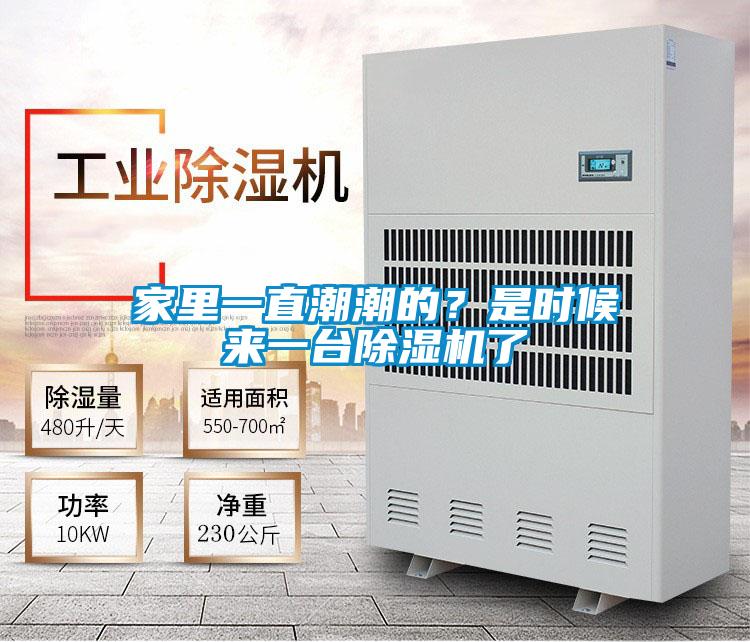 家里一直潮潮的？是時(shí)候來一臺(tái)除濕機(jī)了