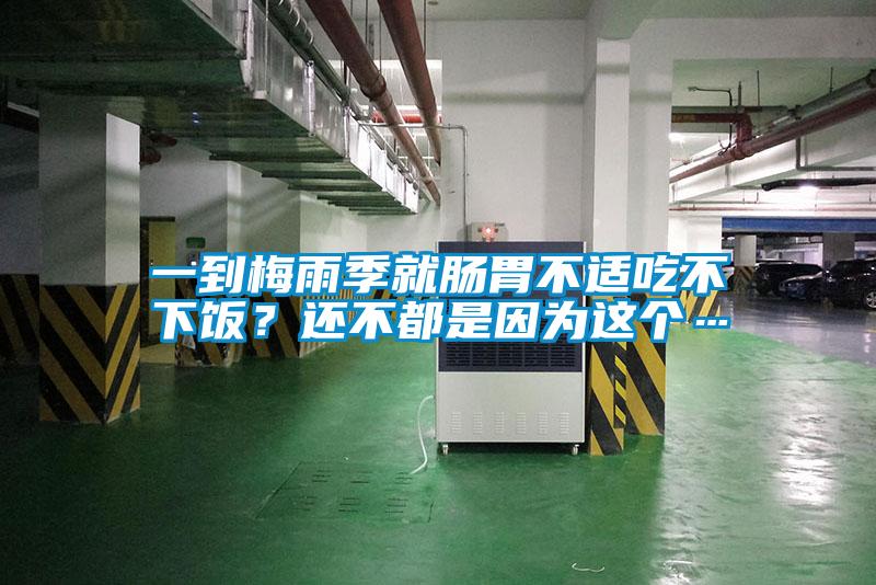 一到梅雨季就腸胃不適吃不下飯？還不都是因?yàn)檫@個(gè)…