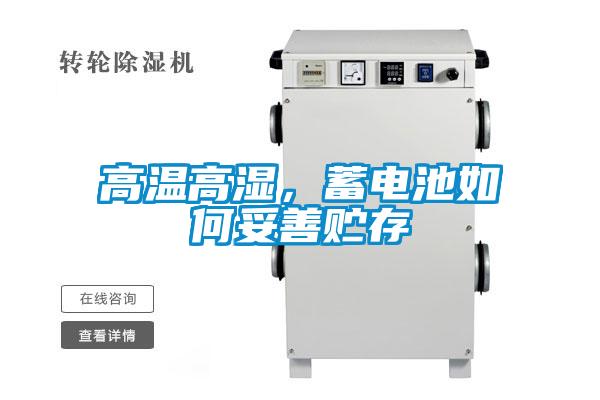 高溫高濕，蓄電池如何妥善貯存