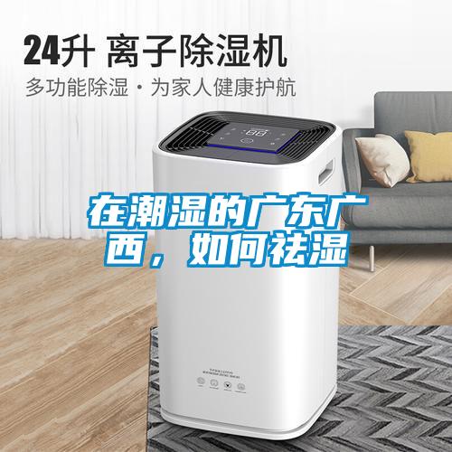 在潮濕的廣東廣西，如何祛濕