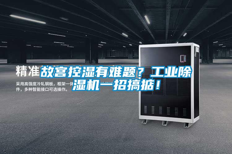 故宮控濕有難題？工業(yè)除濕機一招搞掂！