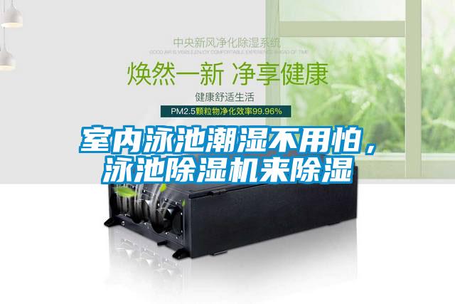 室內(nèi)泳池潮濕不用怕，泳池除濕機(jī)來除濕
