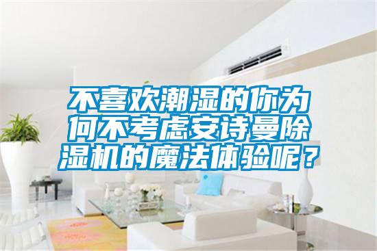 不喜歡潮濕的你為何不考慮安詩曼除濕機的魔法體驗呢？