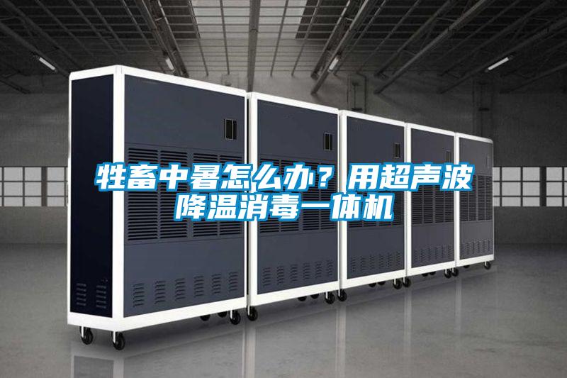 牲畜中暑怎么辦？用超聲波降溫消毒一體機(jī)
