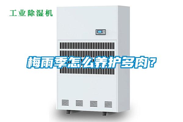 梅雨季怎么養(yǎng)護多肉？