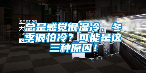 總是感覺很濕冷、冬季很怕冷？可能是這三種原因！