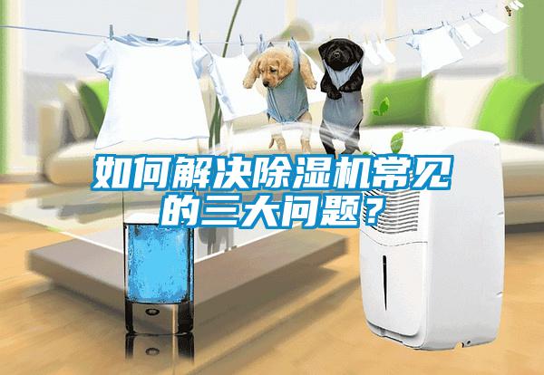 如何解決除濕機常見的三大問題？
