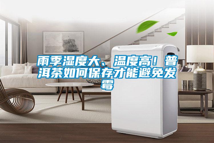 雨季濕度大、溫度高！普洱茶如何保存才能避免發(fā)霉