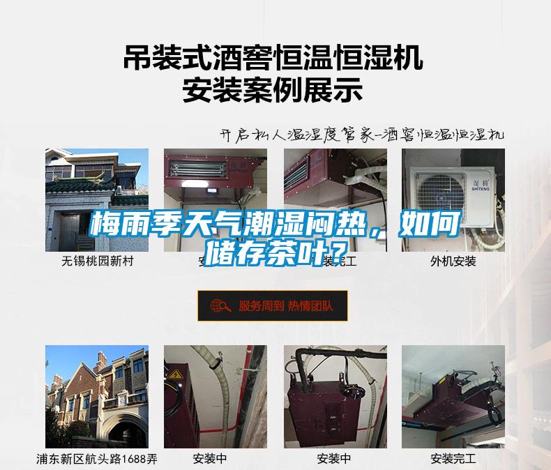 梅雨季天氣潮濕悶熱，如何儲存茶葉？