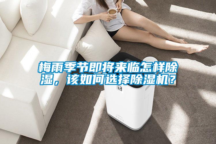 梅雨季節(jié)即將來臨怎樣除濕，該如何選擇除濕機？