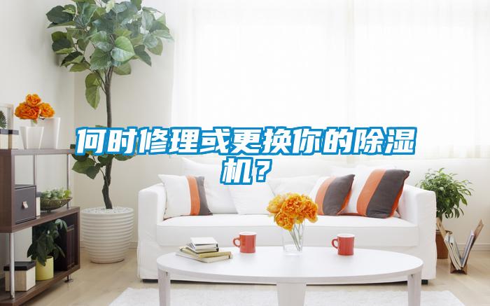 何時(shí)修理或更換你的除濕機(jī)？