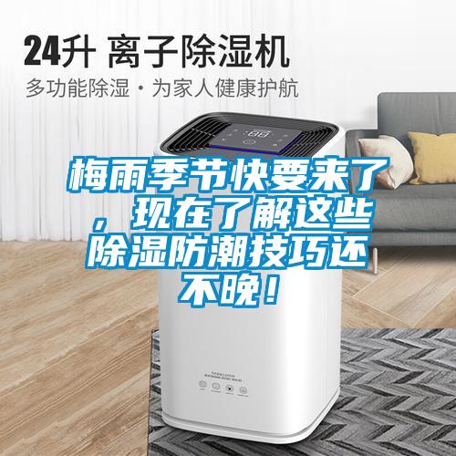 梅雨季節(jié)快要來了，現(xiàn)在了解這些除濕防潮技巧還不晚！
