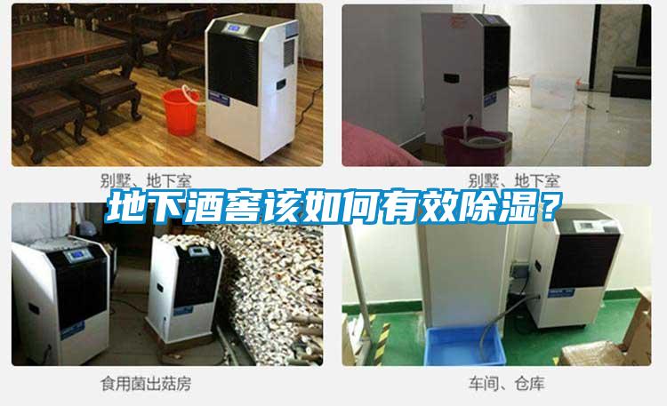 地下酒窖該如何有效除濕？