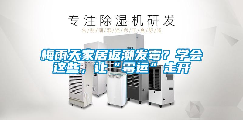 梅雨天家居返潮發(fā)霉？學(xué)會(huì)這些，讓“霉運(yùn)”走開