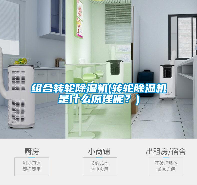 組合轉(zhuǎn)輪除濕機(轉(zhuǎn)輪除濕機是什么原理呢？)