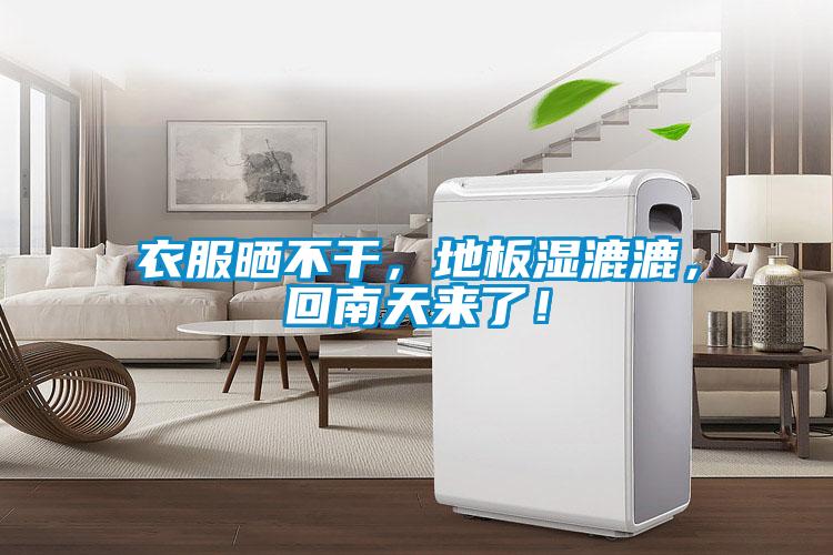 衣服曬不干，地板濕漉漉，回南天來了！