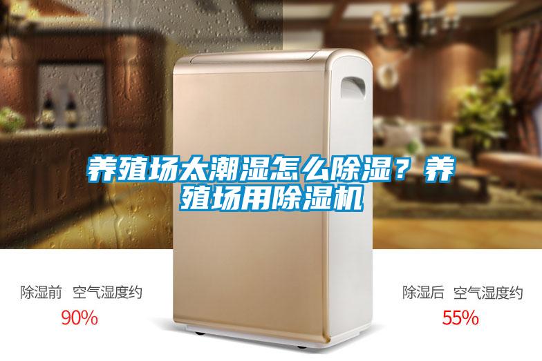養(yǎng)殖場太潮濕怎么除濕？養(yǎng)殖場用除濕機(jī)