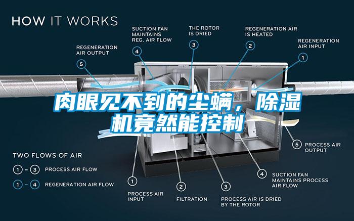 肉眼見不到的塵螨，除濕機(jī)竟然能控制