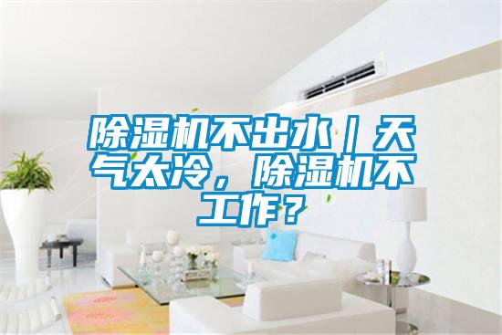 除濕機不出水｜天氣太冷，除濕機不工作？