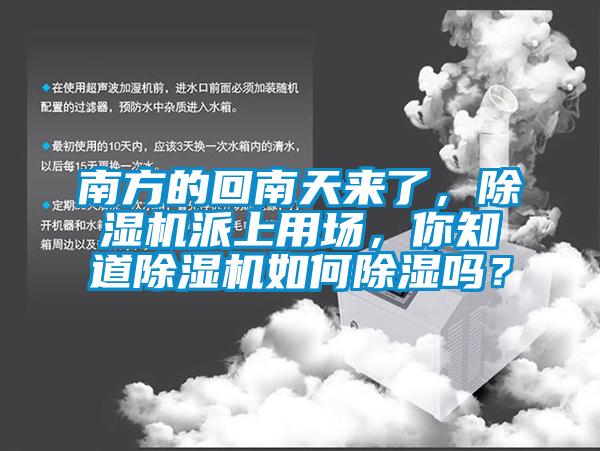 南方的回南天來了，除濕機(jī)派上用場，你知道除濕機(jī)如何除濕嗎？